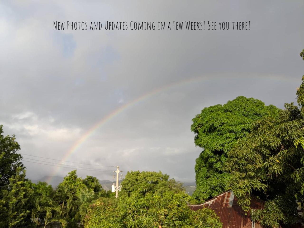 Ragamuffin Hostel Kingston Bagian luar foto
